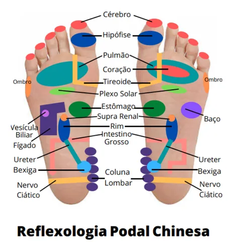 Diagrama de pontos de reflexologia podal